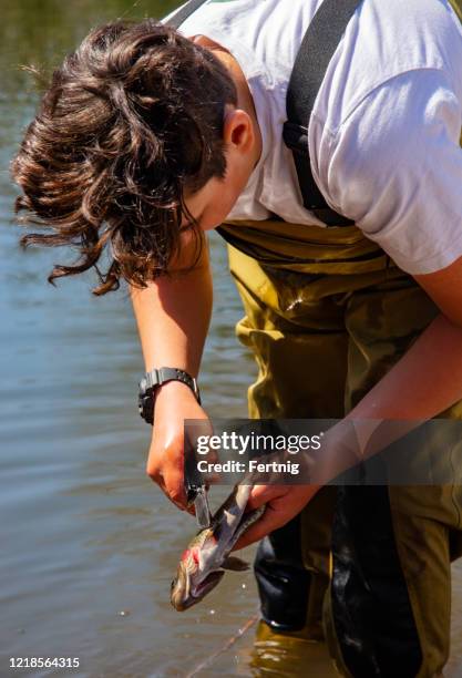 ein junger fischer, der eine forelle am ufer eines flusses oder sees reinigt. - ausnehmen stock-fotos und bilder