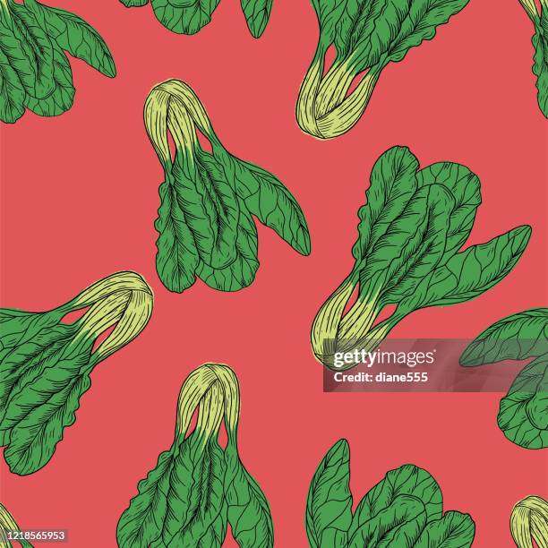 hand drawn bok choy seamless pattern - bok choy stock illustrations