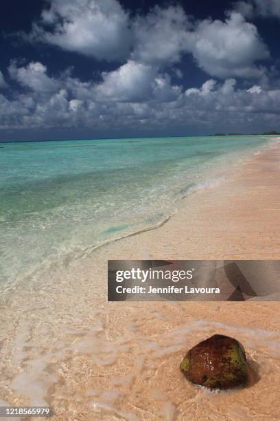 tikehau pink sands and coconut - briland stock pictures, royalty-free photos & images