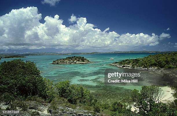 bird island, antigua, west indies      - antigua stock-fotos und bilder