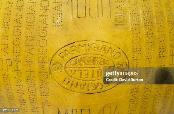 parmesan cheese - parmigiano foto e immagini stock