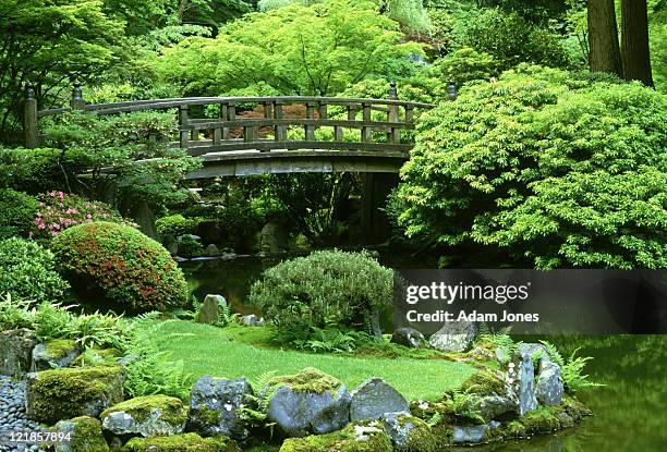 footbridge: japanese garden portland, oregon - japanischer garten stock-fotos und bilder