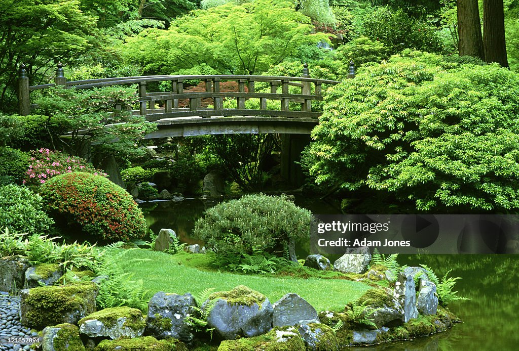 Footbridge: japanese garden  portland, oregon     