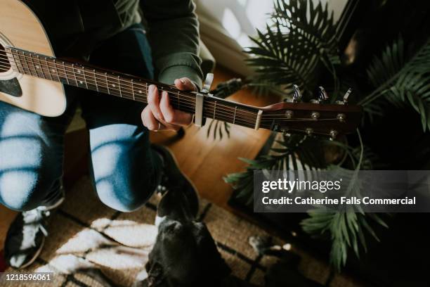 guitar player and dog - songwriter stock-fotos und bilder