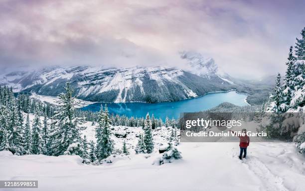 banff national park at sunset in winter - banff national park stock-fotos und bilder