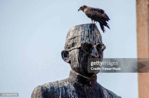 An eagle sits on a statue covered in guano, as the country relaxed its lockdown restriction on June 08, 2020 in New Delhi, India. Places of worship,...