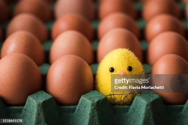 egg carton with chicken toy - chick egg stock-fotos und bilder