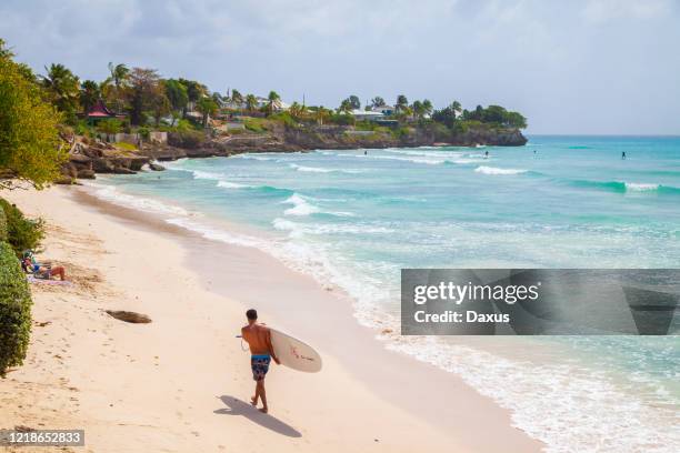 freights bay beach barbados - barbados stock-fotos und bilder