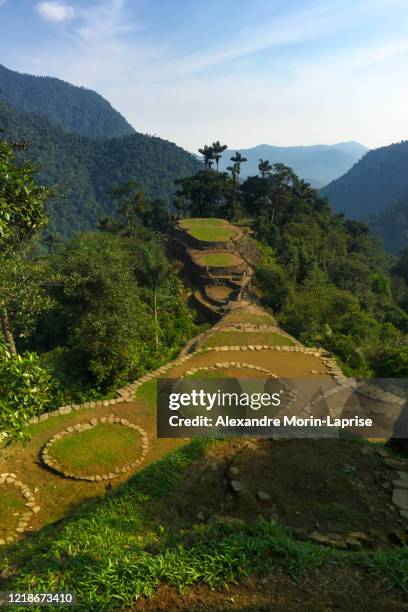 the famous and tourist tayrona park, the ciudad perdida (lost city) in magdalena / colombia, full of nature, vegetation, history and culture - santa marta colombia stock-fotos und bilder