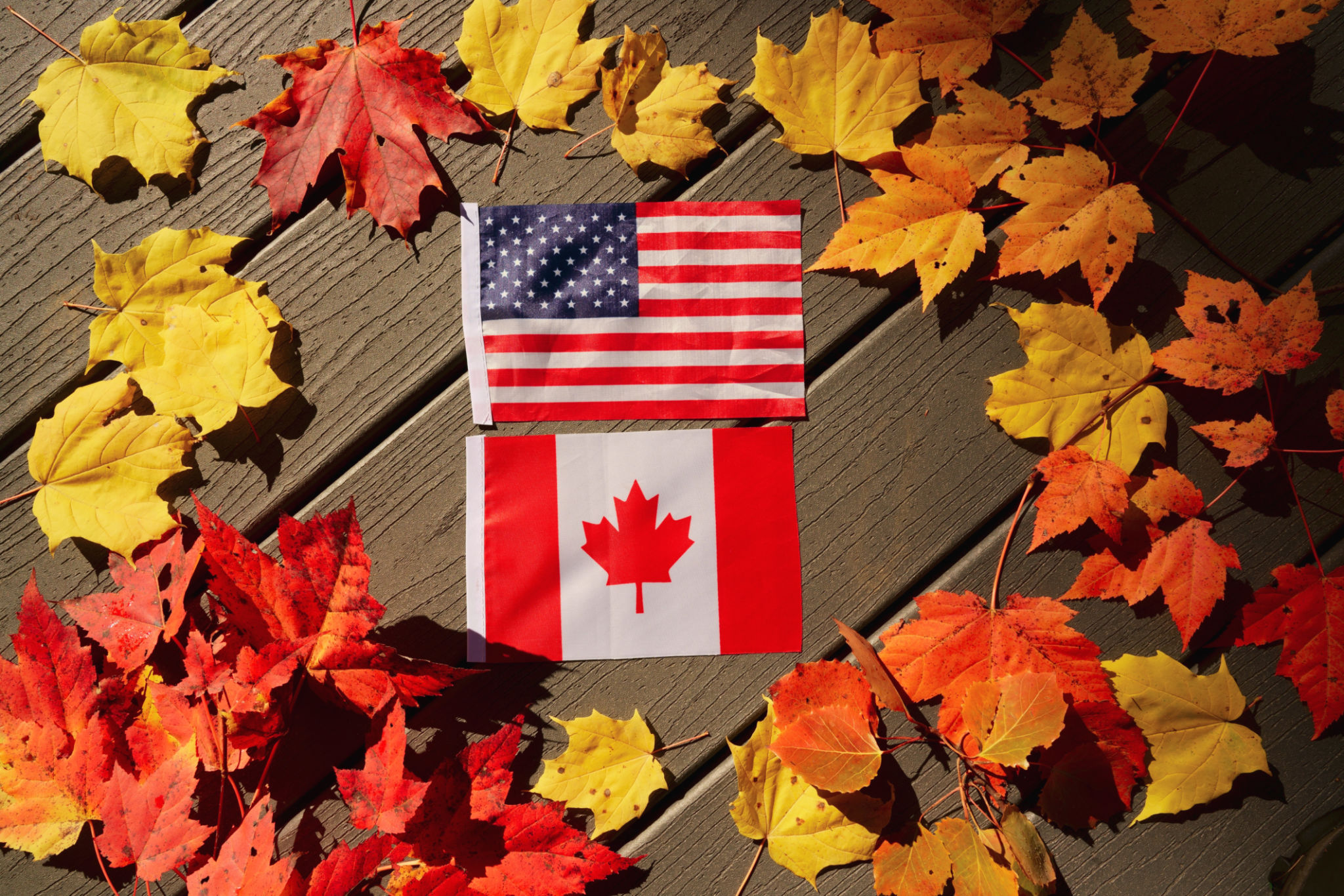 American and Canadian flags between maple leaves American and Canadian flags between maple leaves