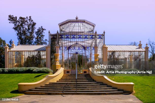 the palm house, adelaide botanic gardens, adelaide, south australia - adelaide stockfoto's en -beelden