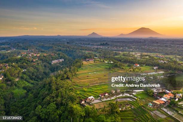 sunrise over rice fields in ubud, bali. aerial drone shot. - bali volcano stock pictures, royalty-free photos & images