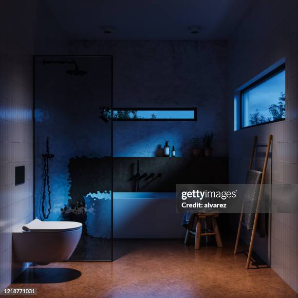 3d rendering of a bathroom during night - bathroom pot plant stock pictures, royalty-free photos & images