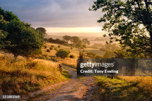 Dawn sunshine in English countryside. Dawn sunshine in English countryside.