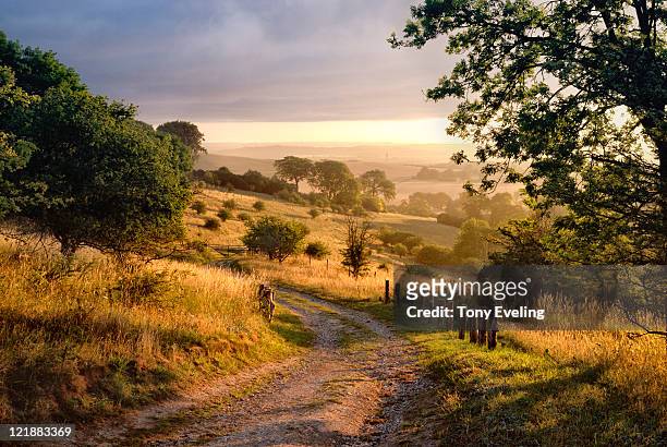 dawn sunshine in english countryside. - england stock pictures, royalty-free photos & images