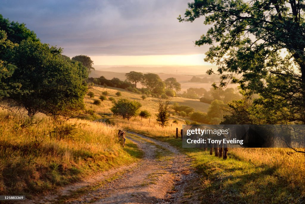 Dawn sunshine in English countryside.