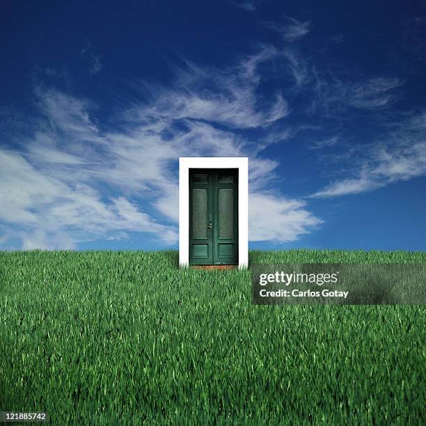 green door in green grass field - out of context fotografías e imágenes de stock