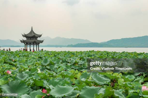 615 広東省 恵州市 Stock Photos, High-Res Pictures, and Images - Getty Images
