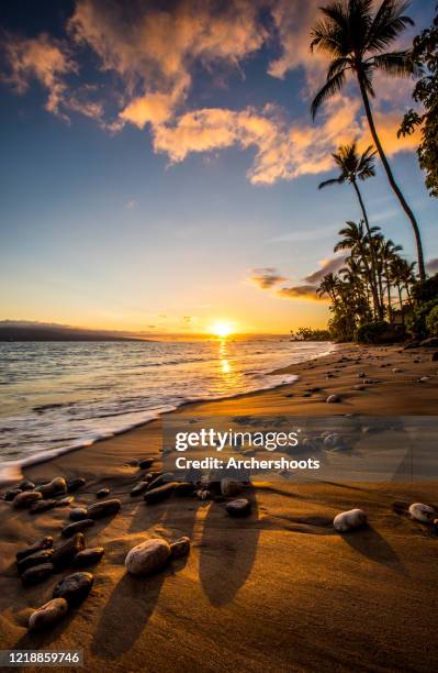 sandy beach and palm trees with lahaina sunset - exotic travel destinations usa stock pictures, royalty-free photos & images