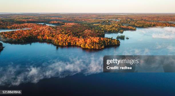 colourful autumn forest and blue lake, aerial top drone view - floresta de boreal imagens e fotografias de stock