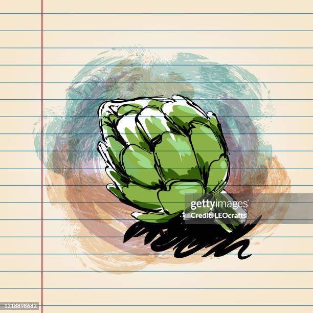 artichoke drawing on ruled paper - artichoke pattern stock illustrations