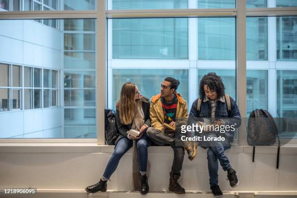 multietnische universitaire volwassen studenten die talen samen in een openbare bibliotheek leren - netherlands stockfoto's en -beelden