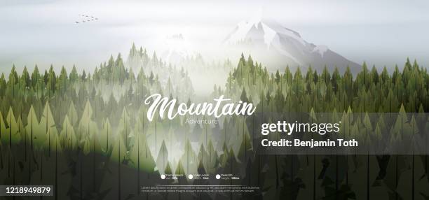 pine forest mountains in mist - adventure logo stock illustrations