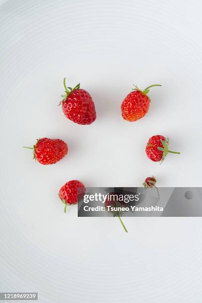 strawberries of different sizes - mismatch stock-fotos und bilder