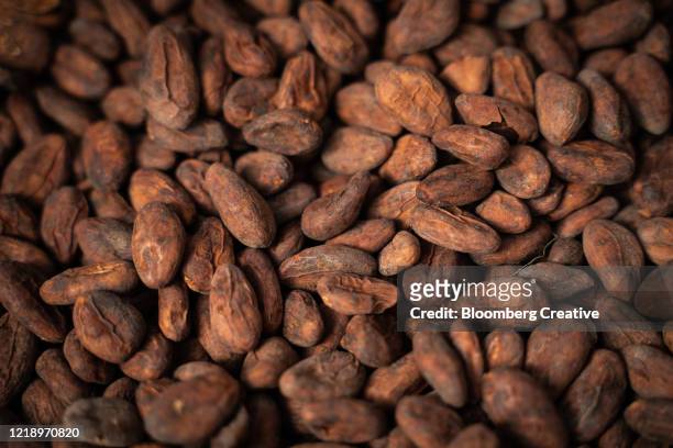 cacao beans - bean stock-fotos und bilder