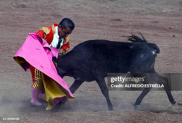 Ignacio Zaragoza aka "Matador", part of a group of bullfighter dwarfs, performs at the rodeo in Zacatlan, Puebla state, Mexico, on August 20, 2011....