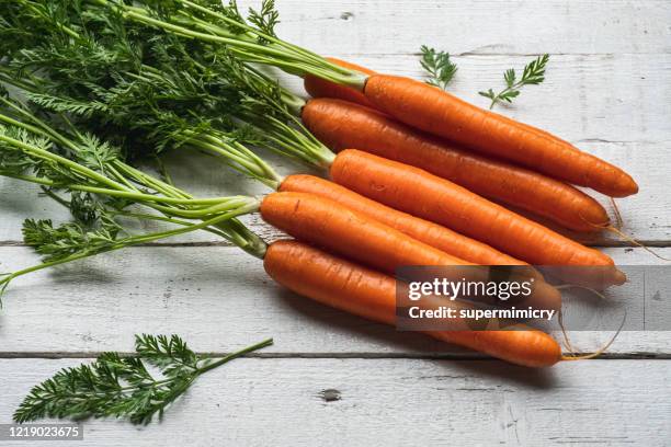 zanahorias de cosecha propia. - carrot fotografías e imágenes de stock