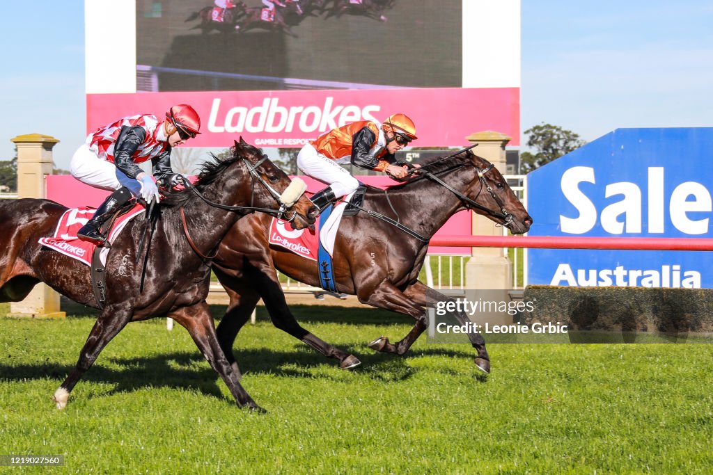 Helen Cantwell Maiden Plate