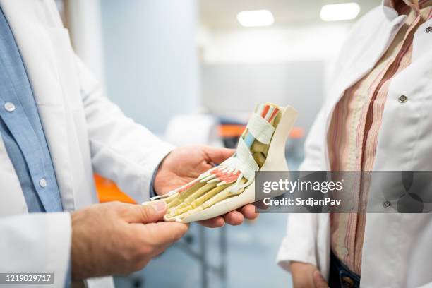 twee artsen bespreken de anatomie van de menselijke voet - orthopedie stockfoto's en -beelden