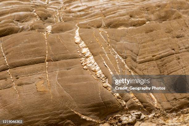 Tilting Rocks 66 Tilted Sedimentary Rock Layers Stock Photos, High-Res Pictures, and ...