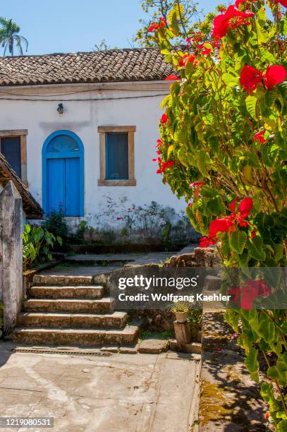 Poinsettia flowering in the garden at the Santuario de Nossa Senhora Mae dos Homens, a seminary and school converted into a pousada in Caraca, Minas...