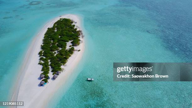 tropical deserted island in maldives - einsame insel stock-fotos und bilder