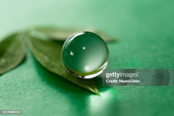 cristal ball on the green leaf - mundo de cristal fotografías e imágenes de stock