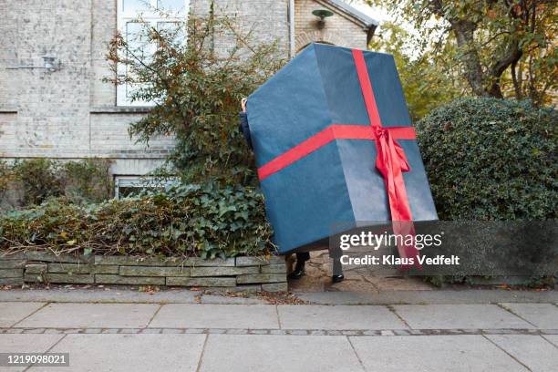 woman carrying large wrapped gift box on footpath - funny christmas gift stockfoto's en -beelden