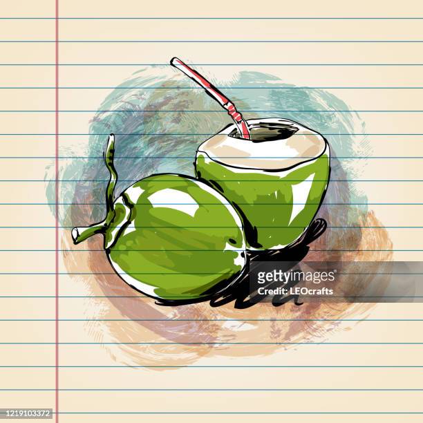 tender coconut  drawing on ruled paper - affectionate stock illustrations