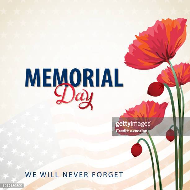 stockillustraties, clipart, cartoons en iconen met amerikaanse memorial day klaprozen - poppies