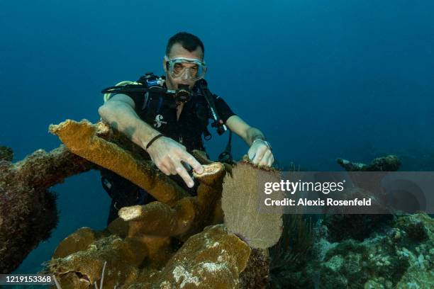 Franck Roncuzzi, a member of the French Agency for Biodiversity and head of environmental police who works at the Marine Natural Park of St. Martin...