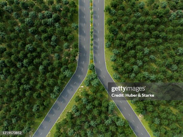 road shaped as zipper around trees - dividere foto e immagini stock