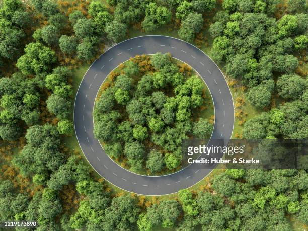 road shaped as circle around trees - traffic circle fotografías e imágenes de stock