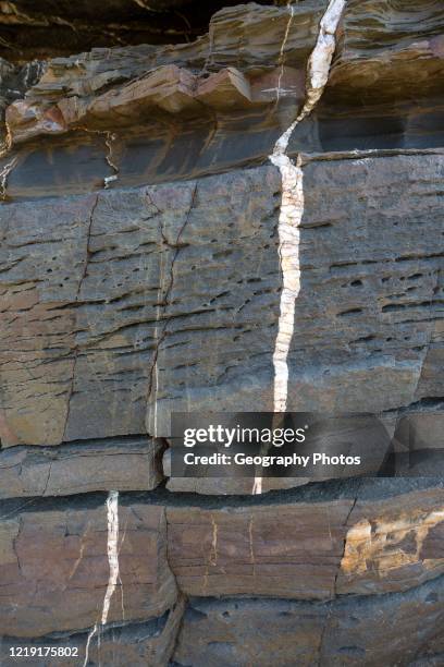 Gap Rocks Layer 20 Tilted Sedimentary Rock Layers Stock Photos, High-Res Pictures, and ...