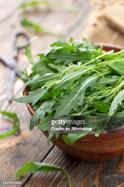 rucola in ciotola - rucola foto e immagini stock