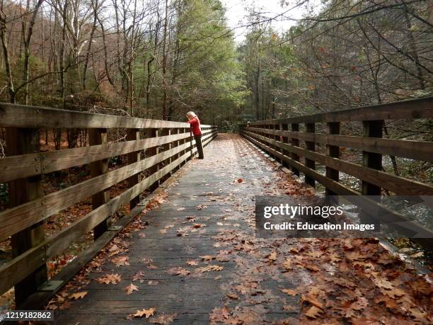 Hiking and biking trail, southwestern Virginia, Hiker on bridge.