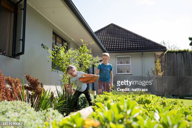 zwei kinder auf der suche nach ostereiern im garten - easter garden stock-fotos und bilder
