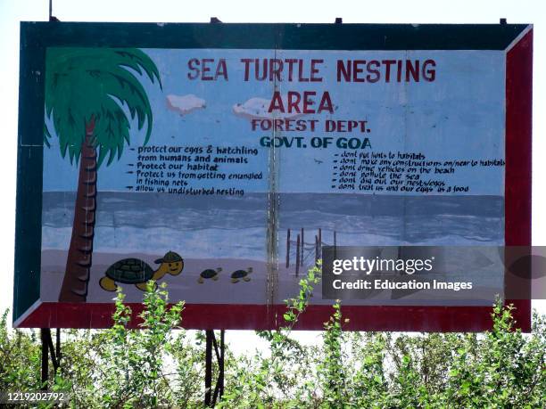 Turtle Nesting area warning sign Morjim Beach Goa.