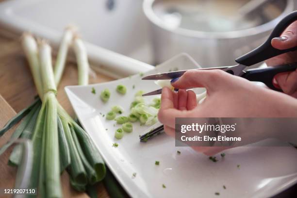 teenager preparing spring onions by cutting with scissors - resourceful stock pictures, royalty-free photos & images