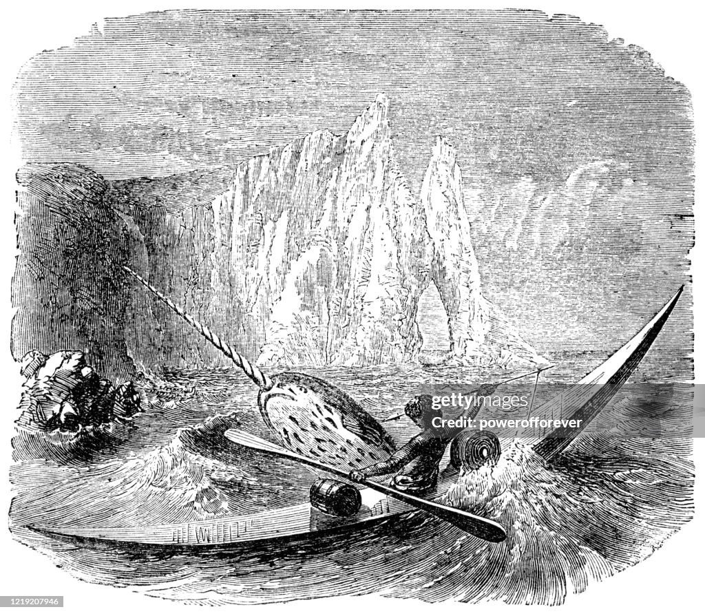 Homem Inuit Caçando um Narwhal - Século XIX